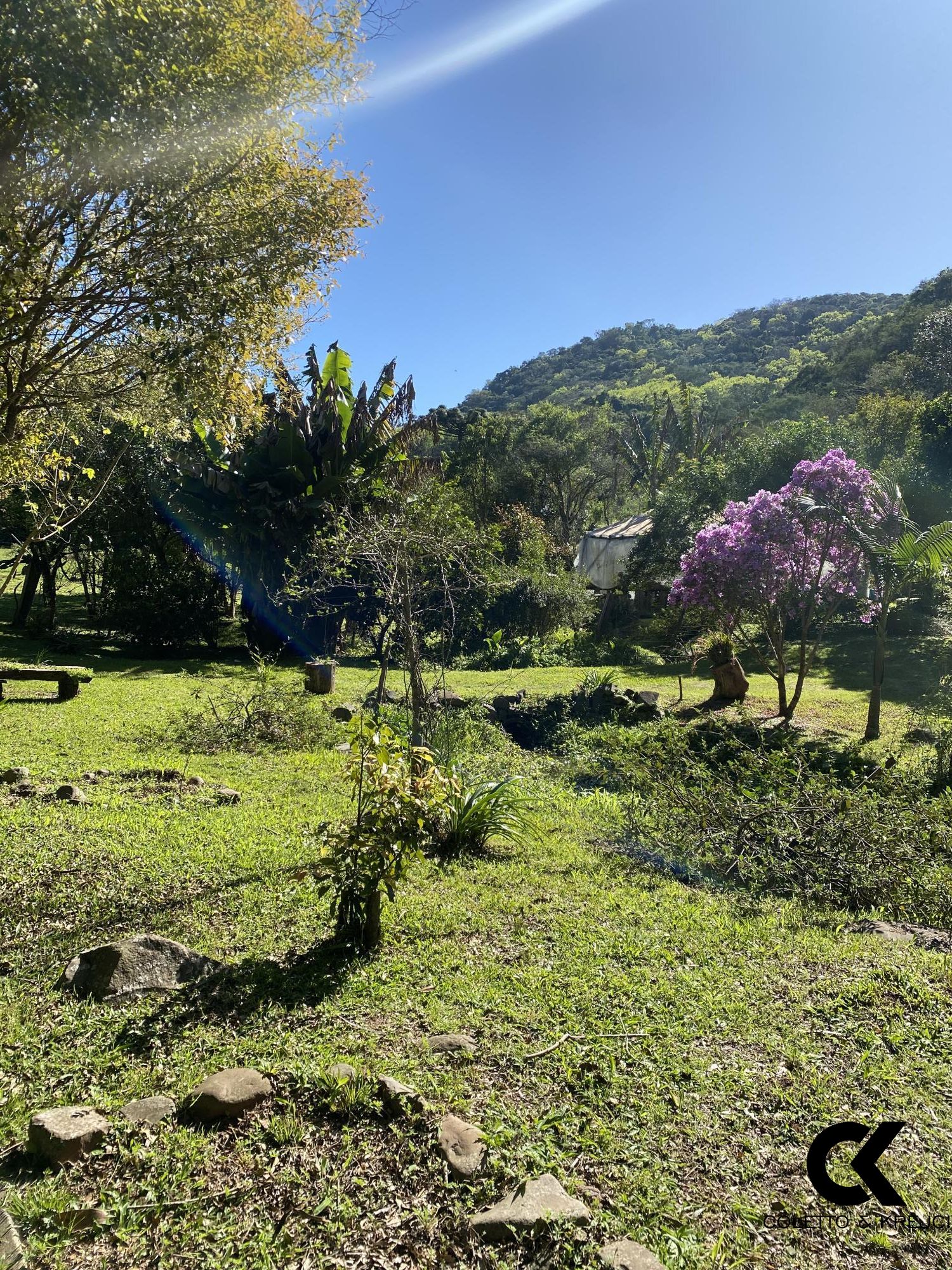 Fazenda à venda com 2 quartos, 20000m² - Foto 17