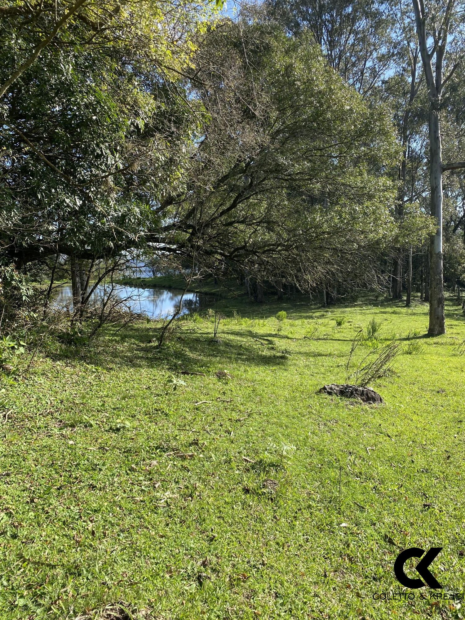 Chácara, 4 hectares - Foto 13