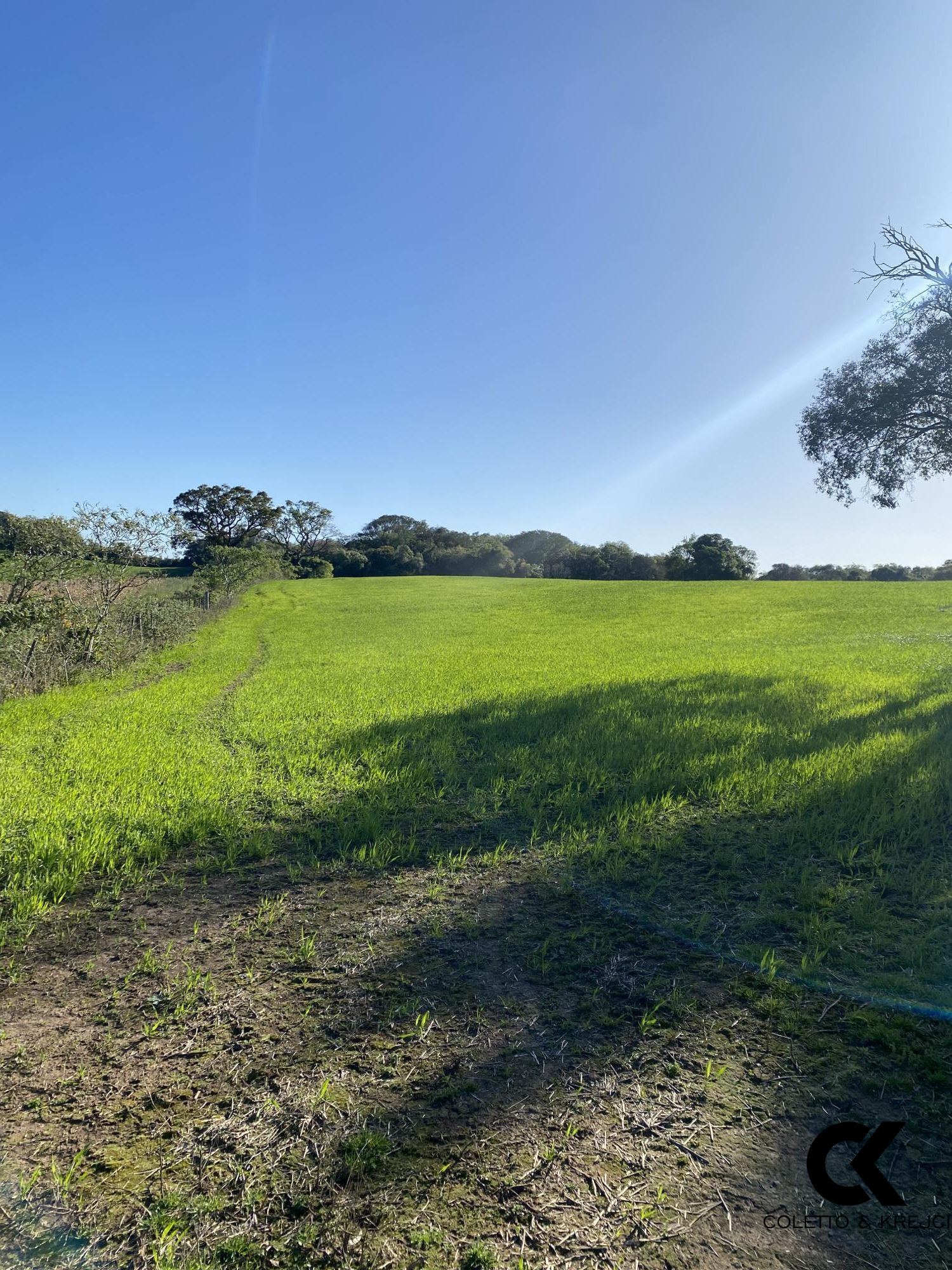 Loteamento e Condomínio à venda, 20000m² - Foto 2