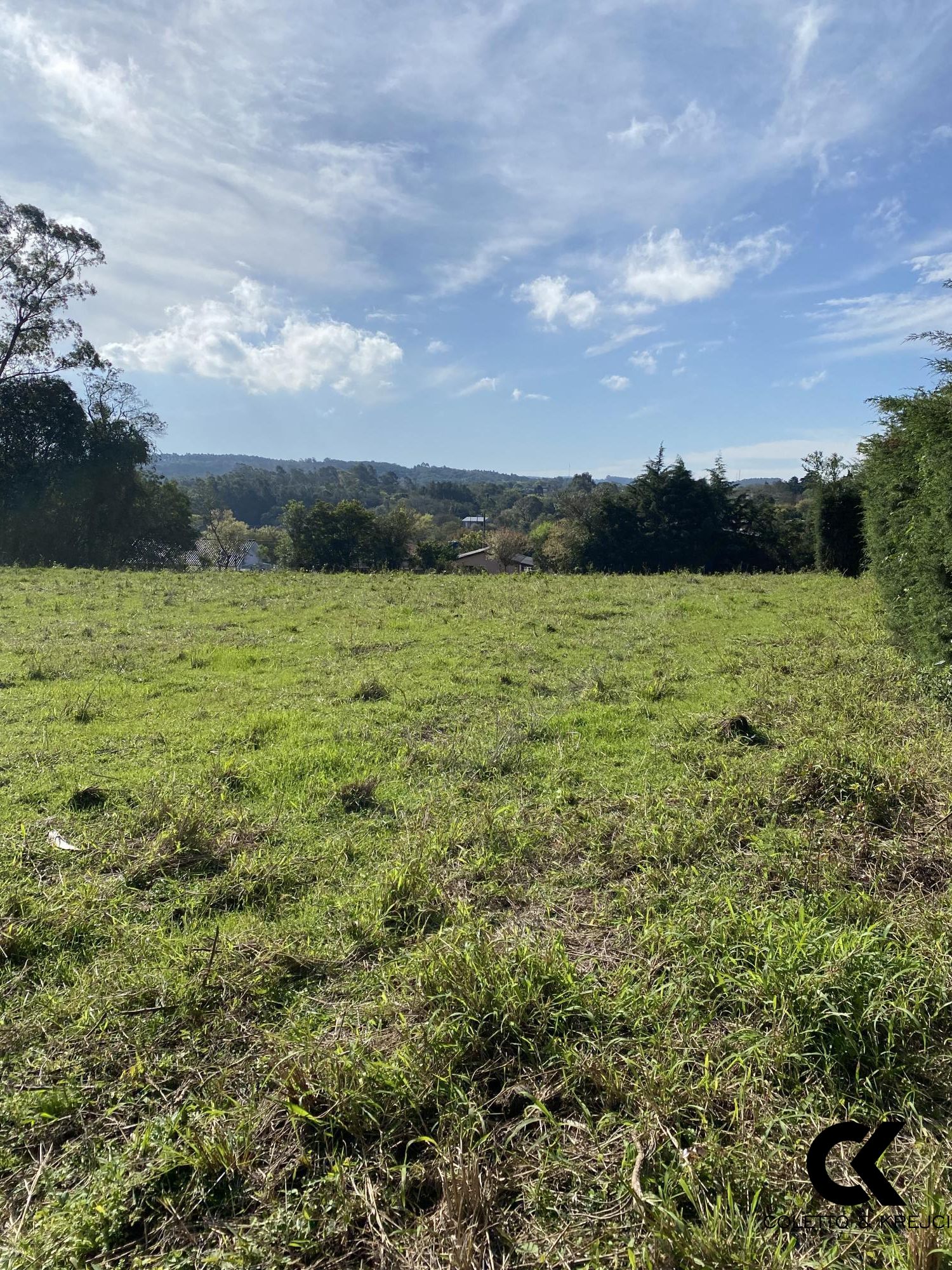 Chácara, 4 hectares - Foto 3