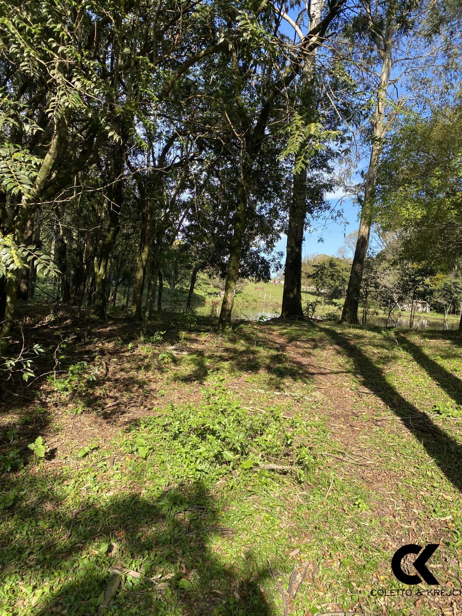 Chácara, 4 hectares - Foto 26