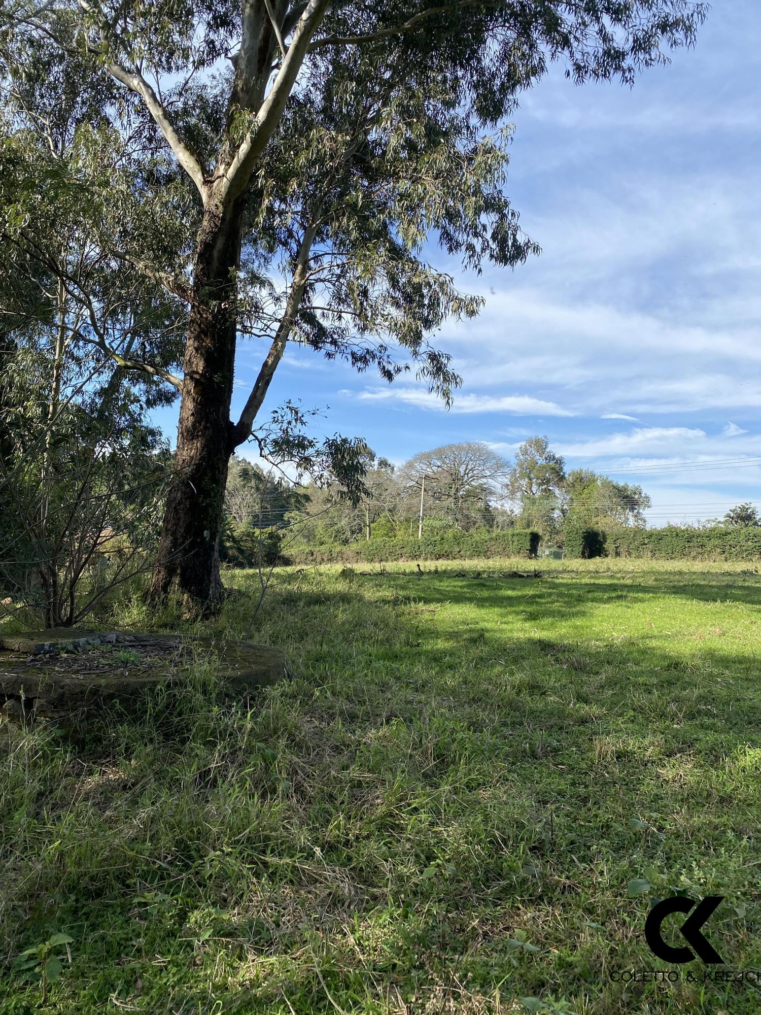 Loteamento e Condomínio à venda, 38500m² - Foto 5