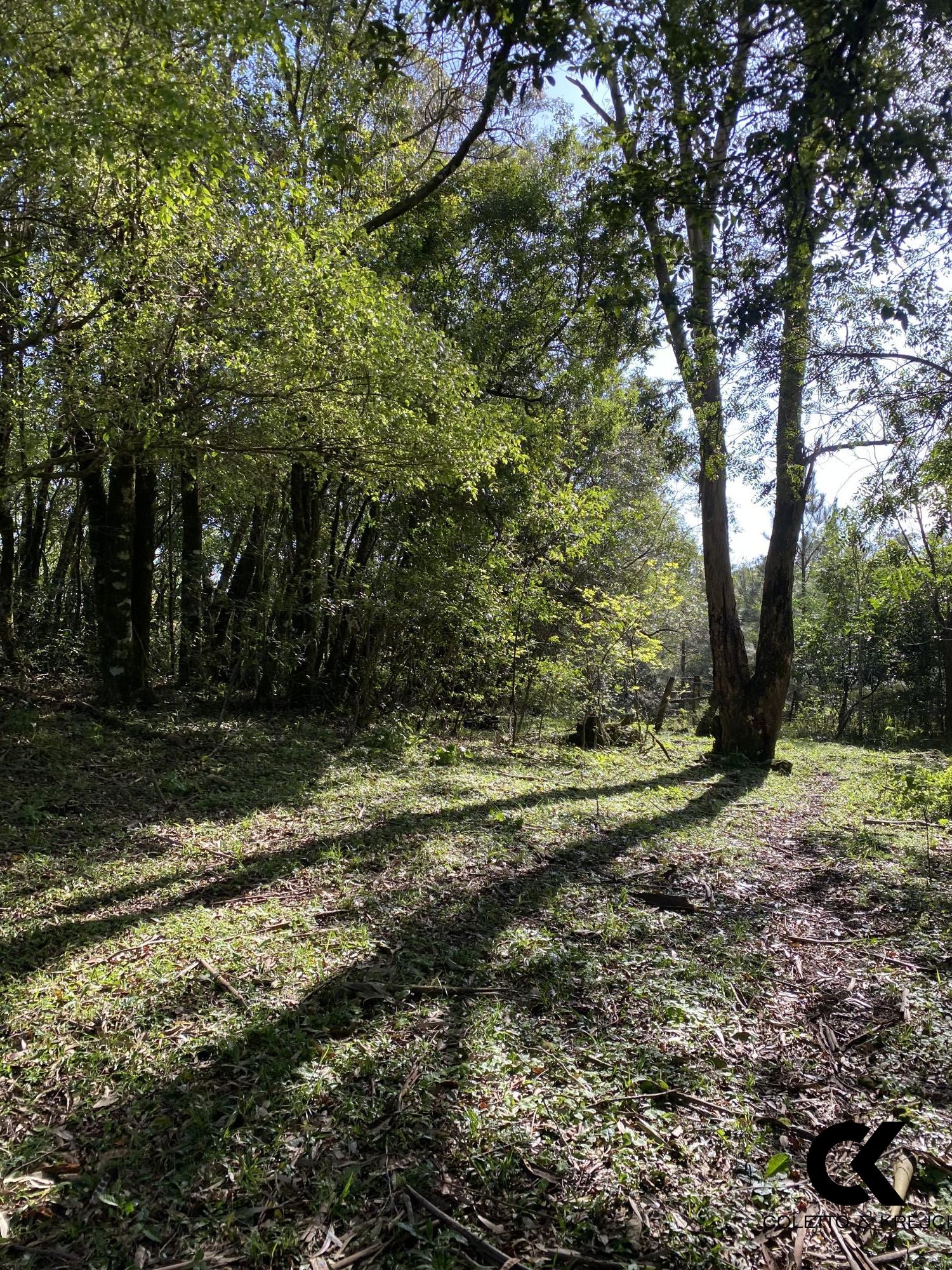 Loteamento e Condomínio à venda, 38500m² - Foto 21