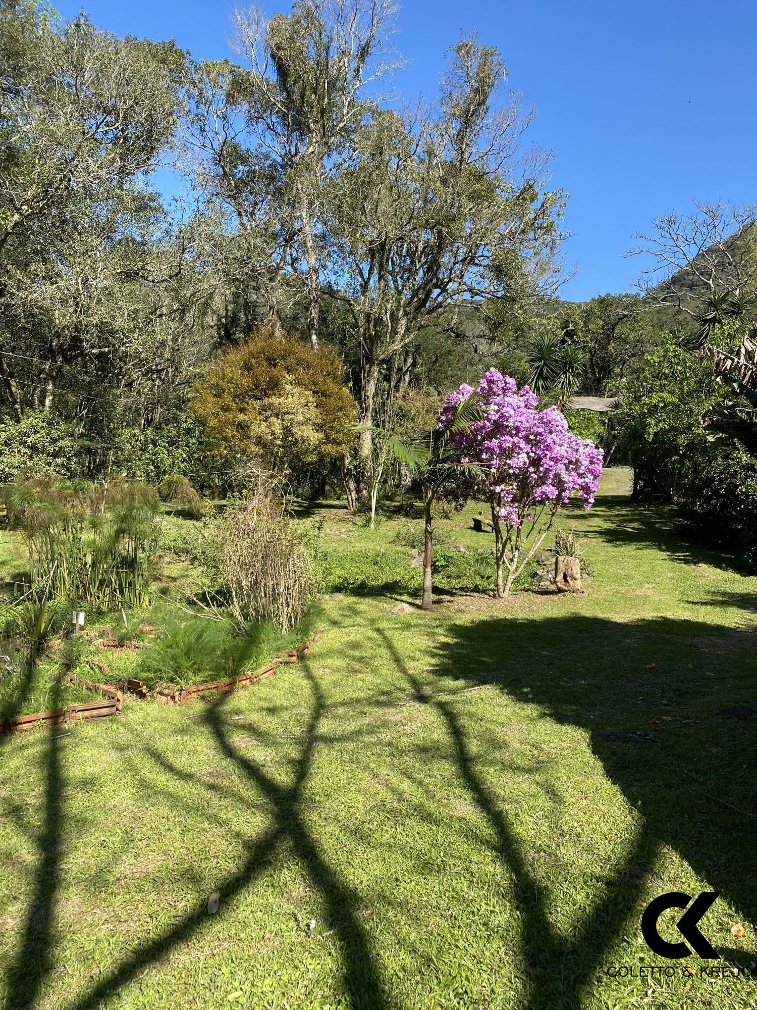 Fazenda à venda com 2 quartos, 20000m² - Foto 40