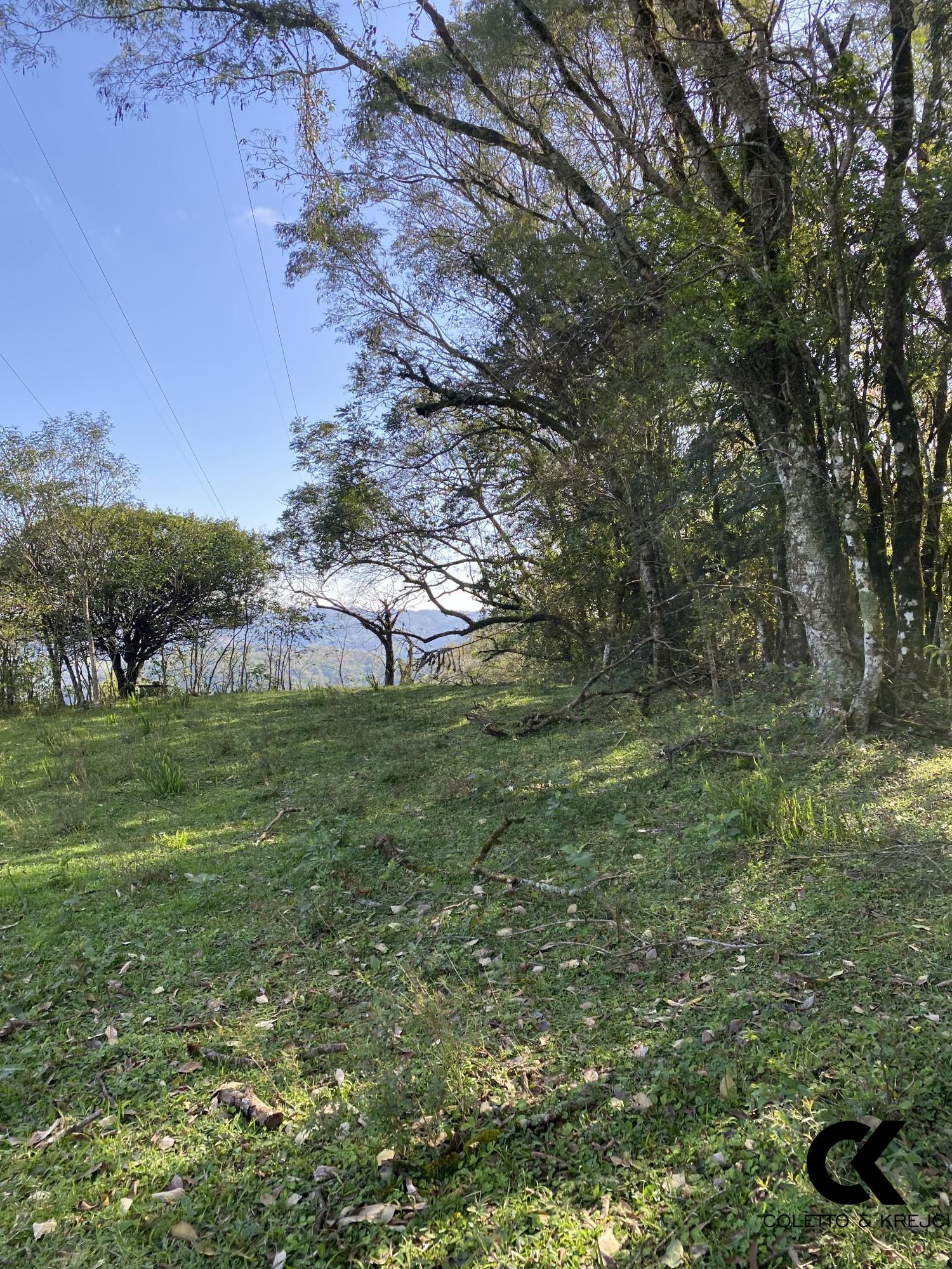 Chácara, 4 hectares - Foto 12