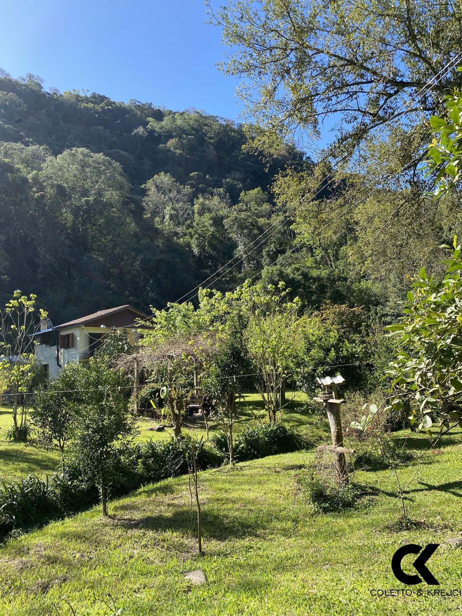 Fazenda à venda com 2 quartos, 20000m² - Foto 16