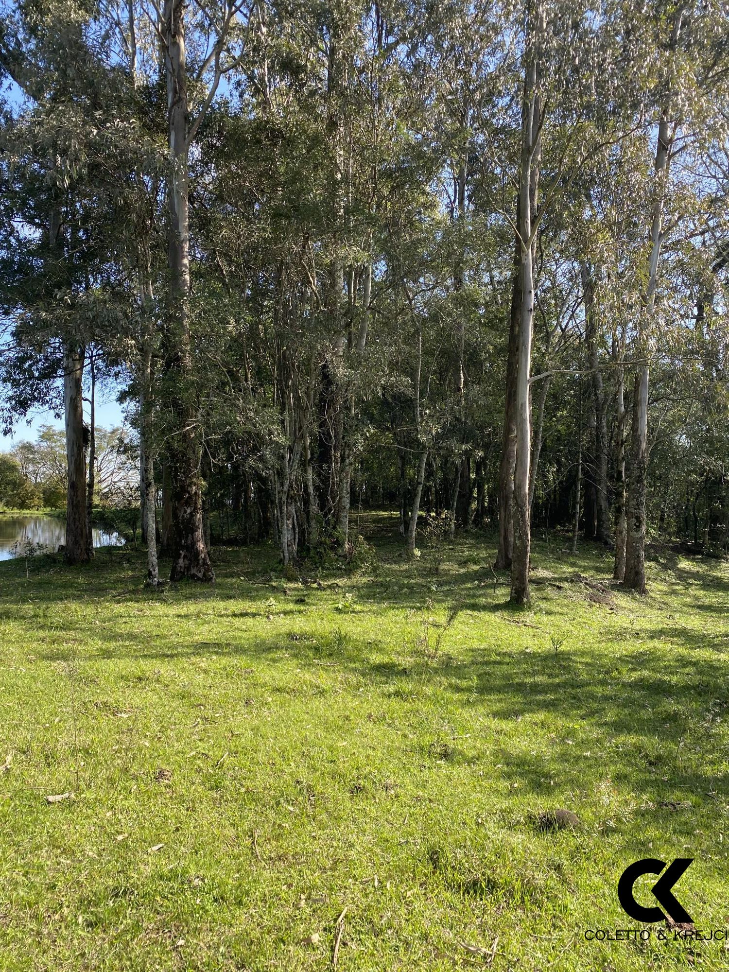 Chácara, 4 hectares - Foto 14