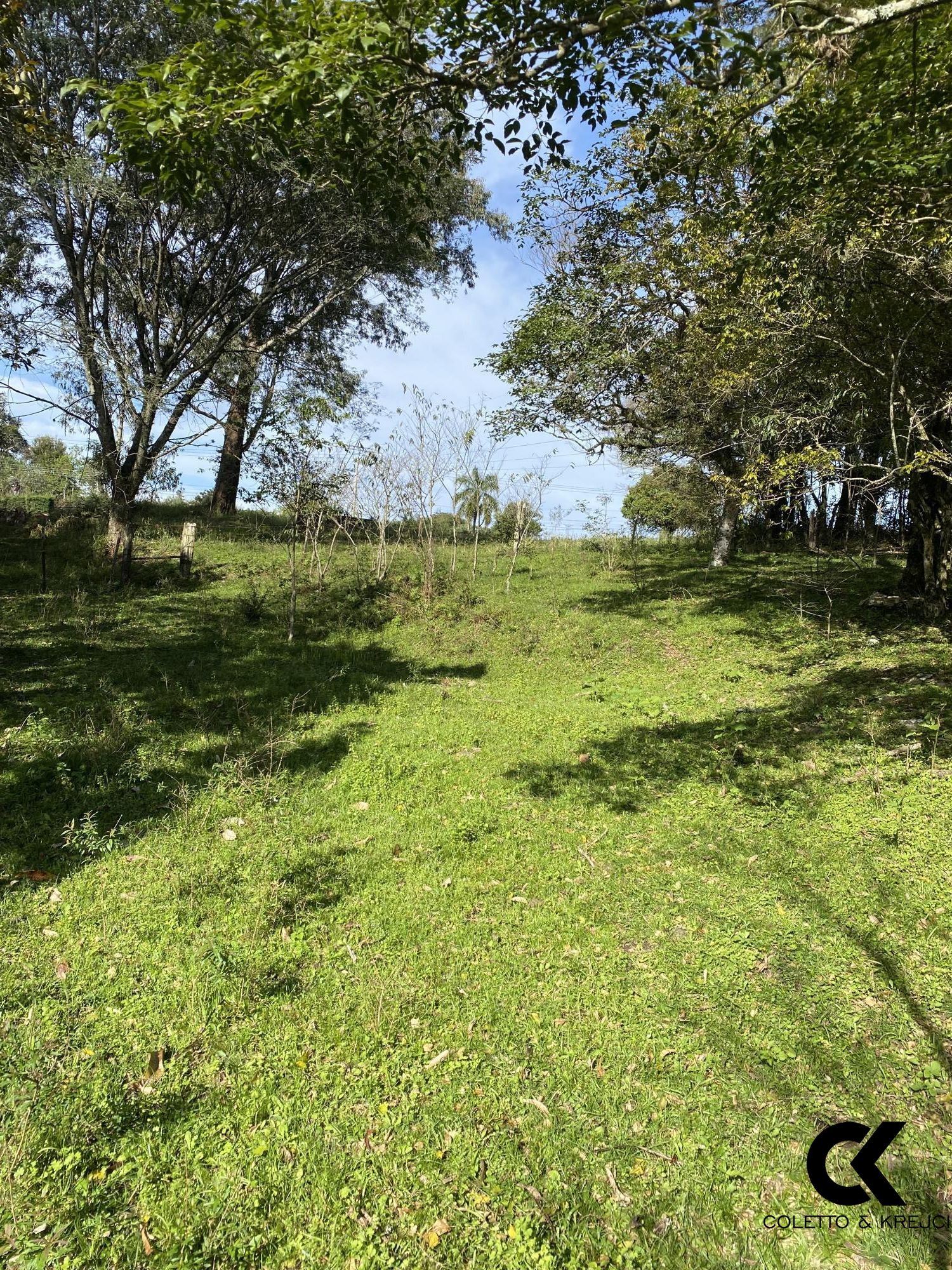 Chácara, 4 hectares - Foto 8