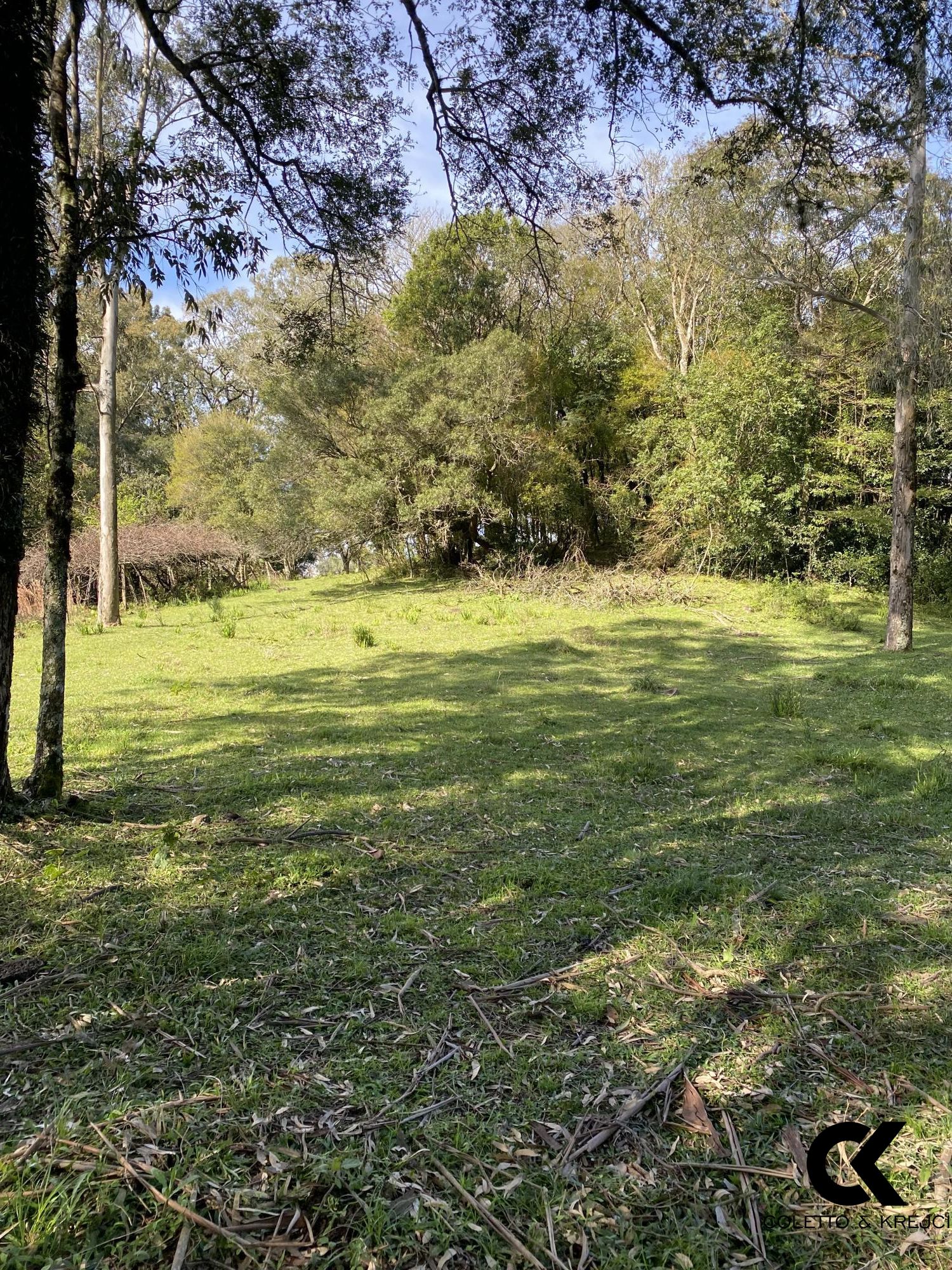 Chácara, 4 hectares - Foto 18