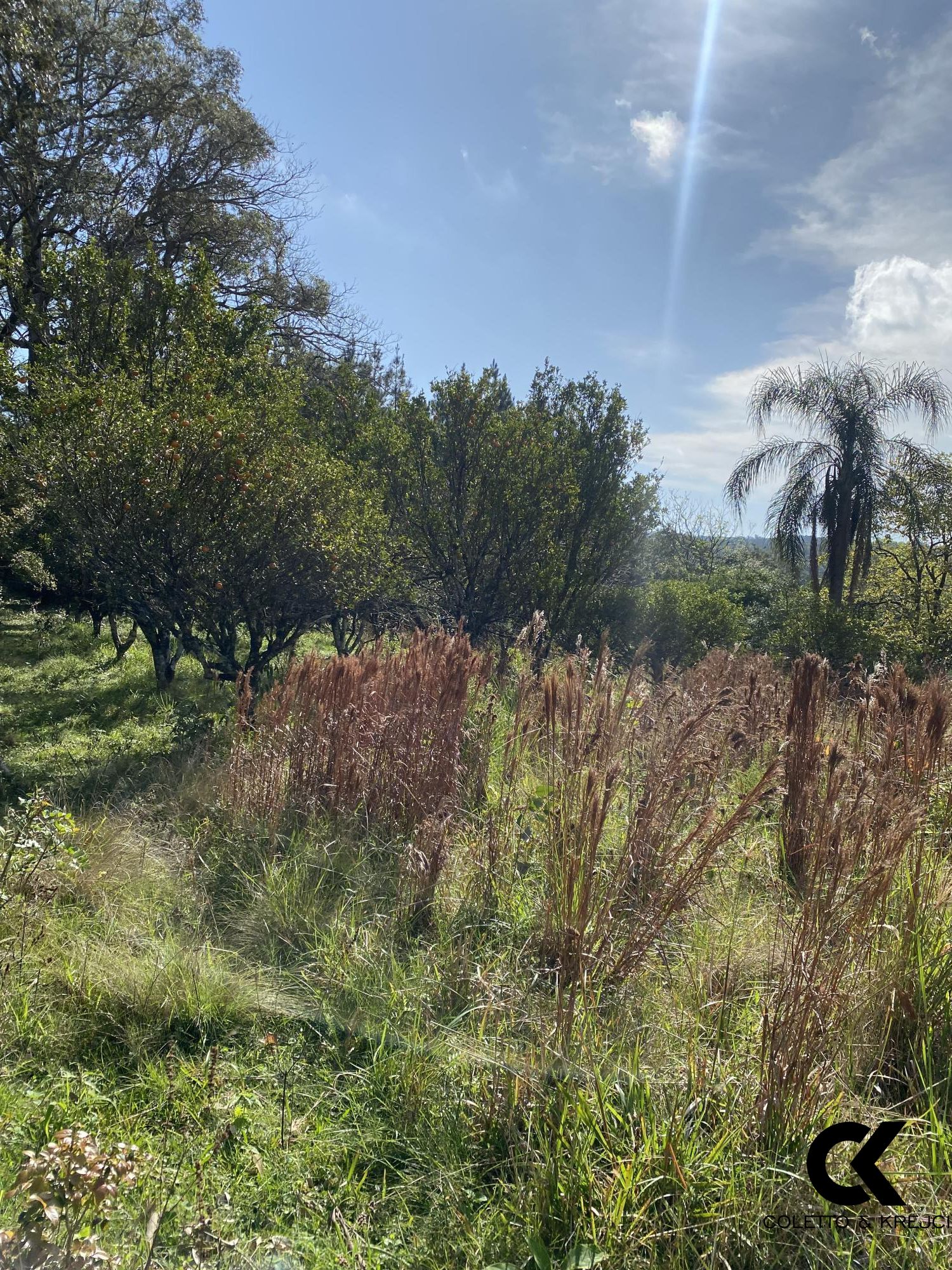 Loteamento e Condomínio à venda, 38500m² - Foto 17