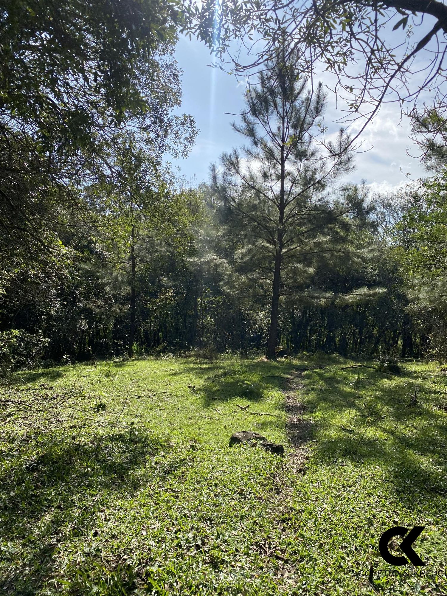 Chácara, 4 hectares - Foto 24