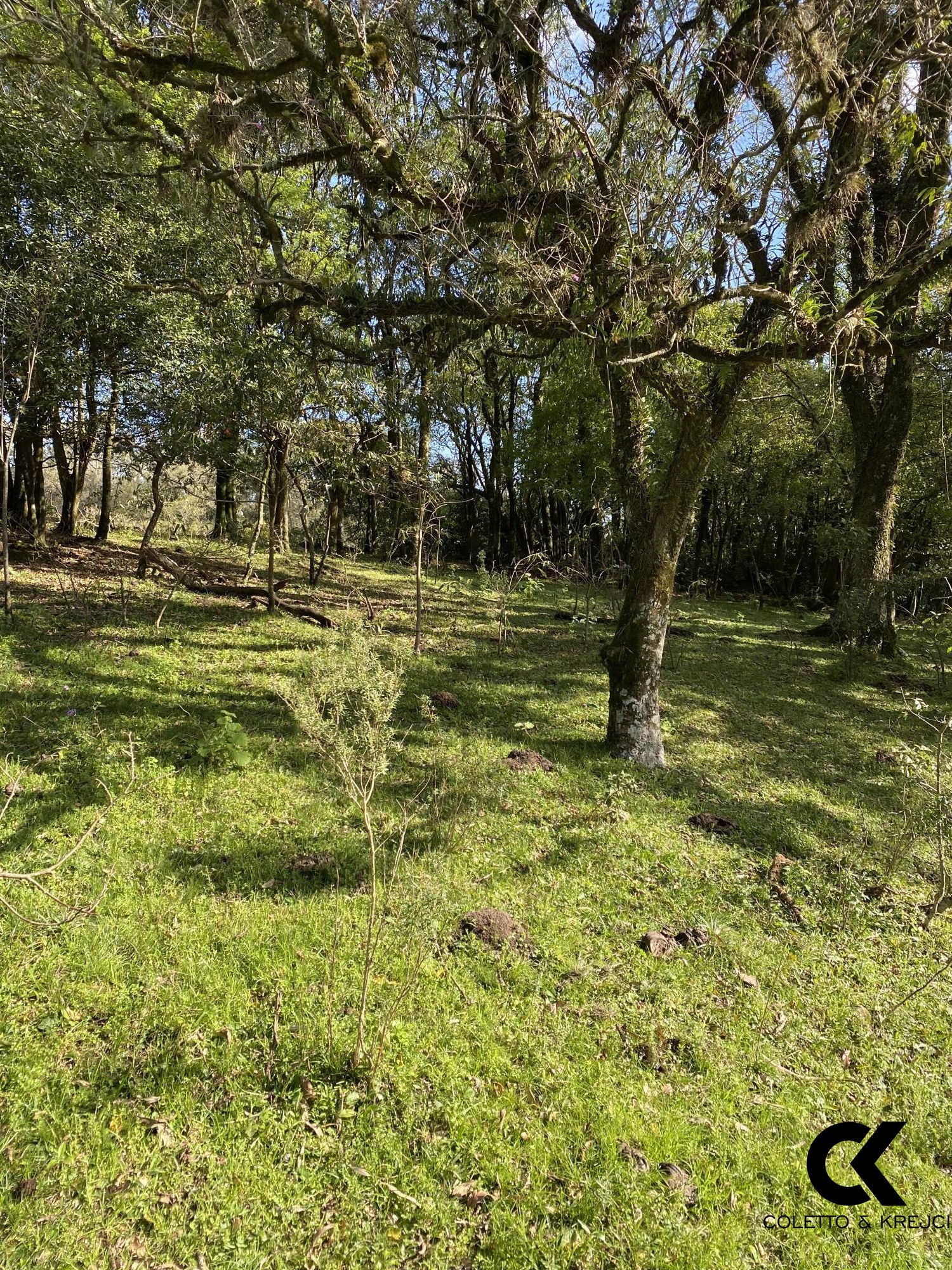 Loteamento e Condomínio à venda, 38500m² - Foto 7