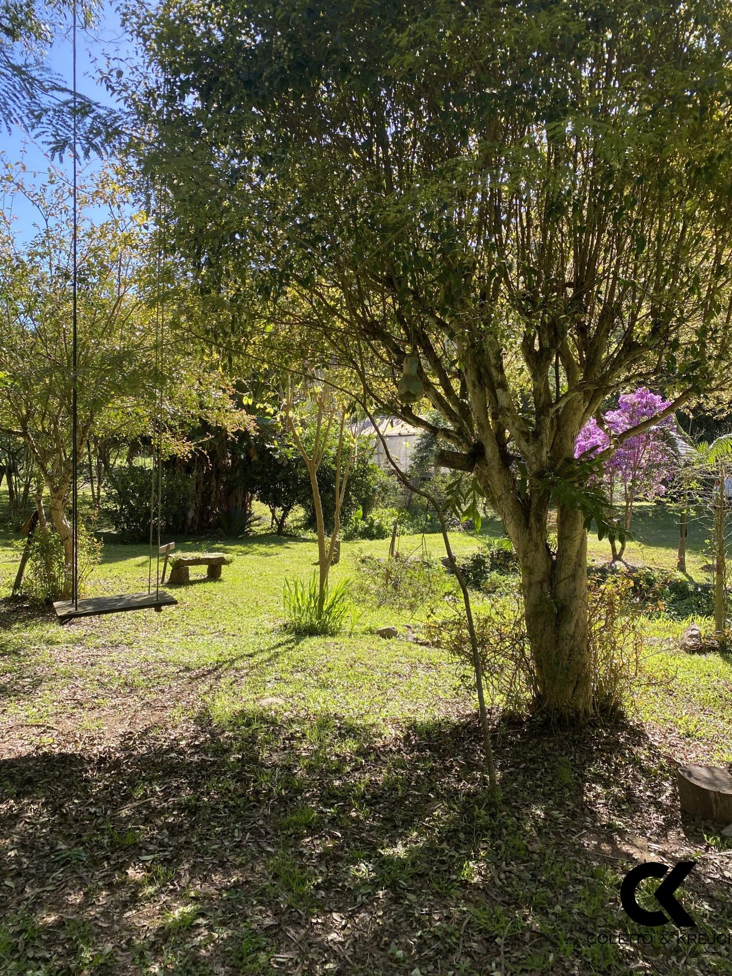 Fazenda à venda com 2 quartos, 20000m² - Foto 14