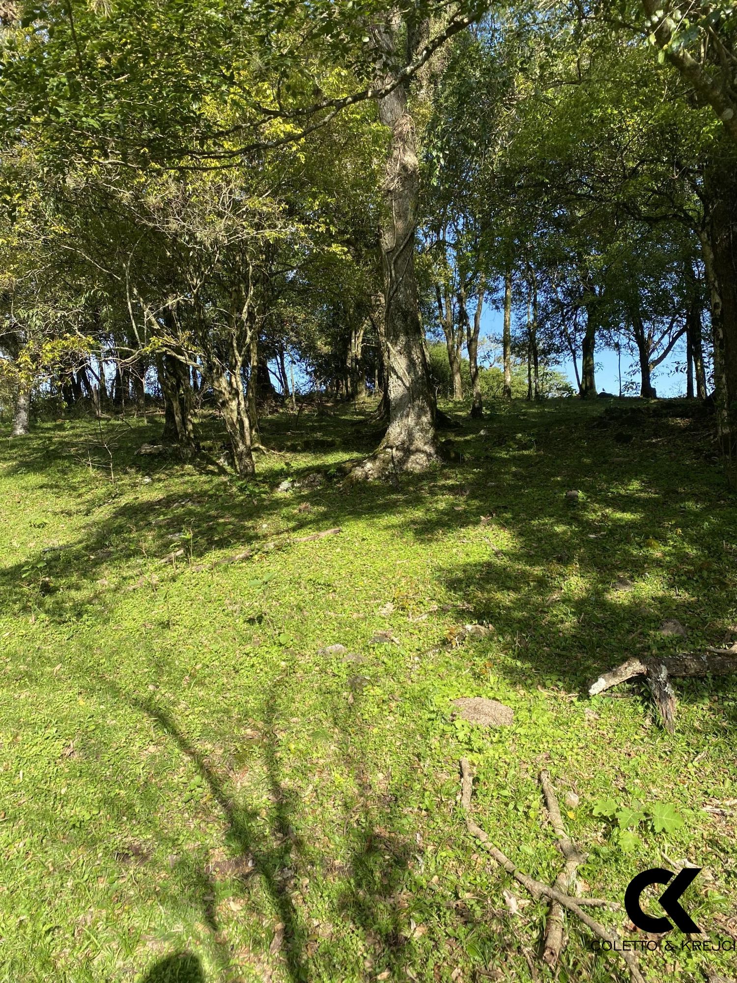 Chácara, 4 hectares - Foto 10