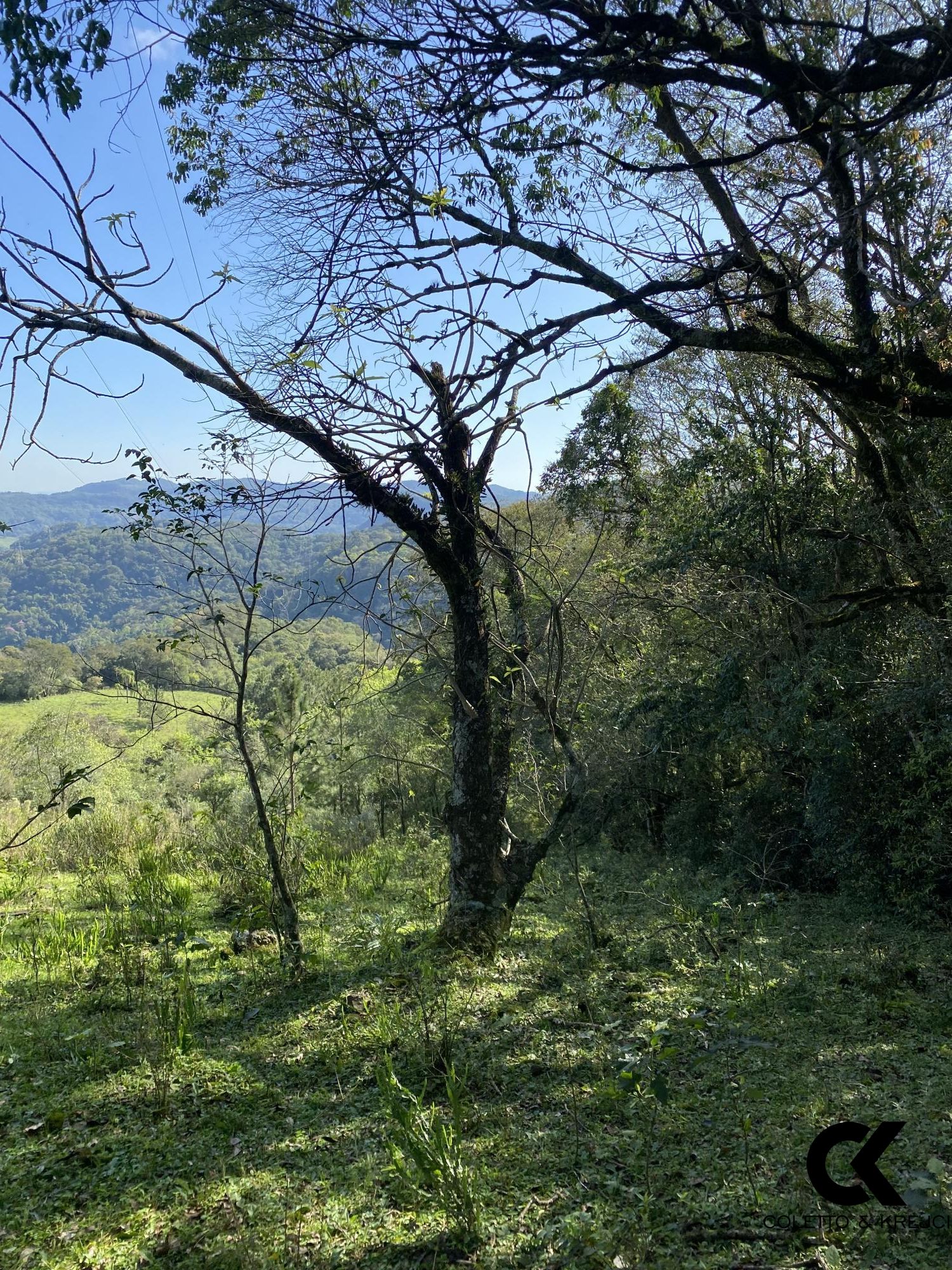 Chácara, 4 hectares - Foto 22