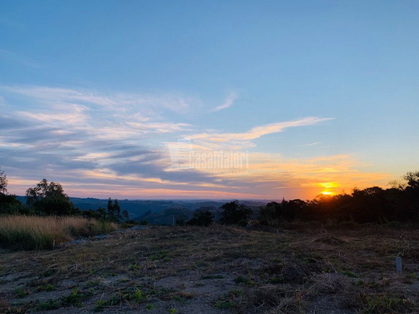 Terreno/Lote  venda  no Faria Lemos - Bento Gonalves, RS. Imveis