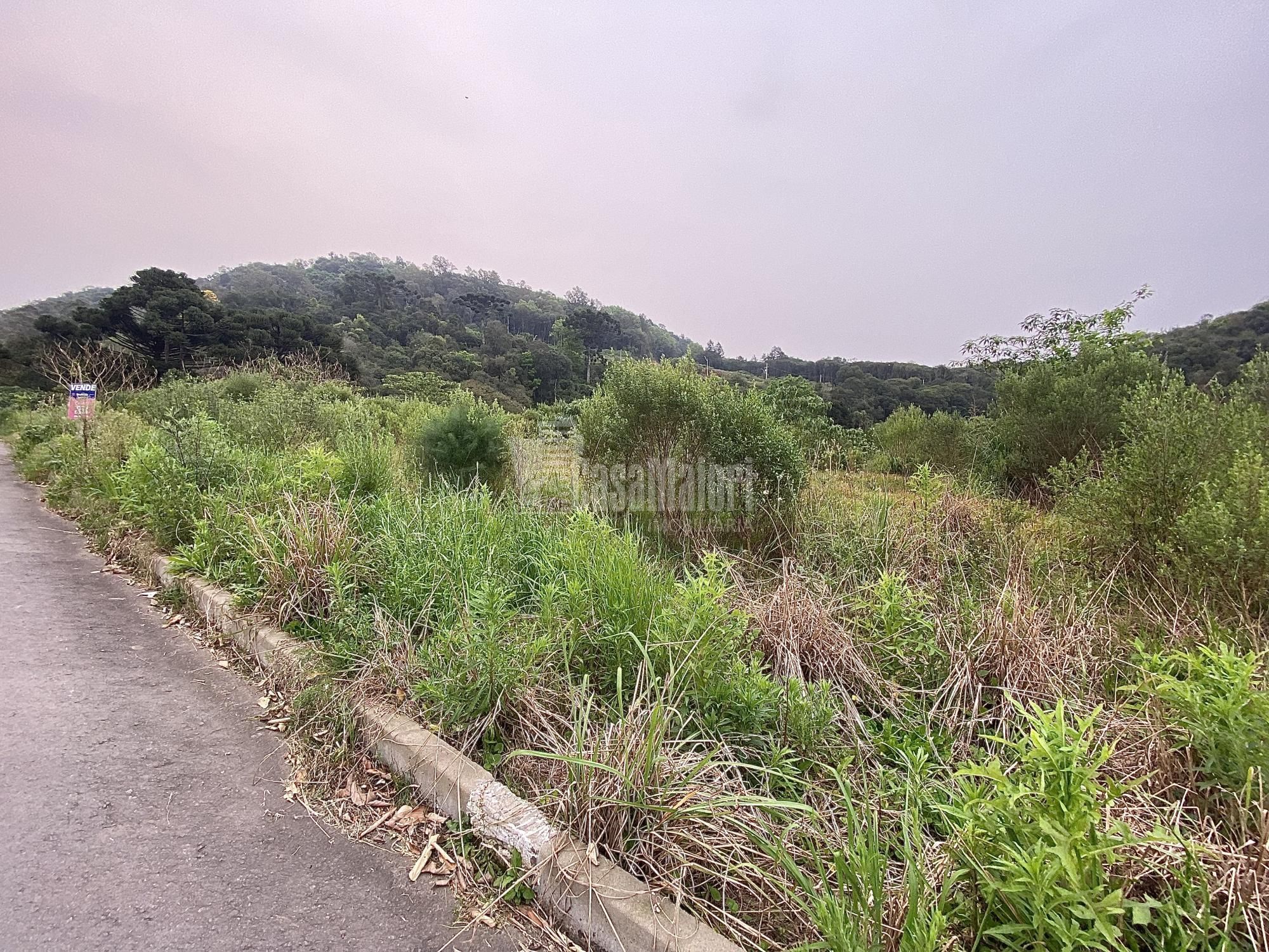 Terreno/Lote  venda  no Ftima - Bento Gonalves, RS. Imveis