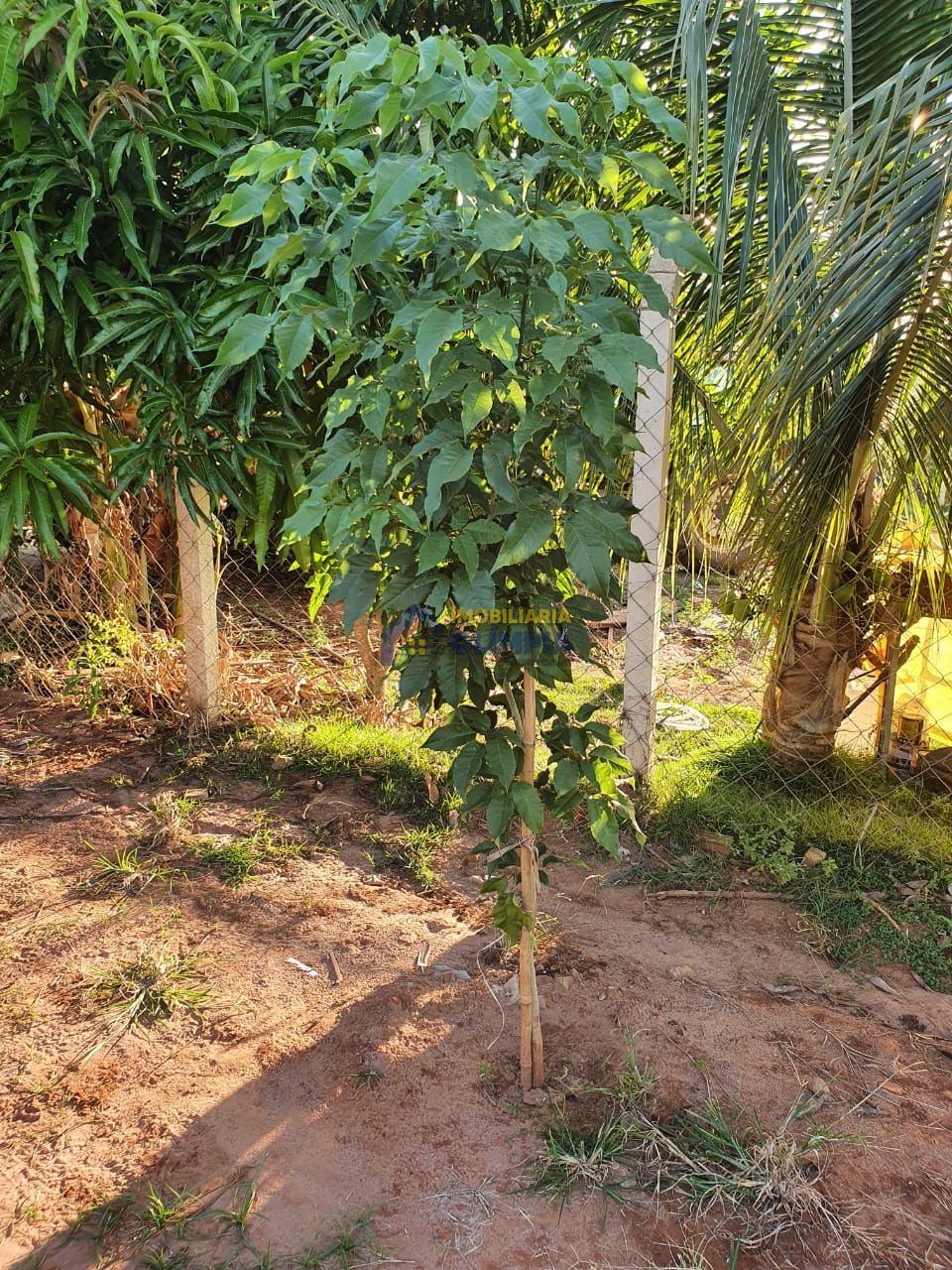 Chácara à venda, 1200m² - Foto 5