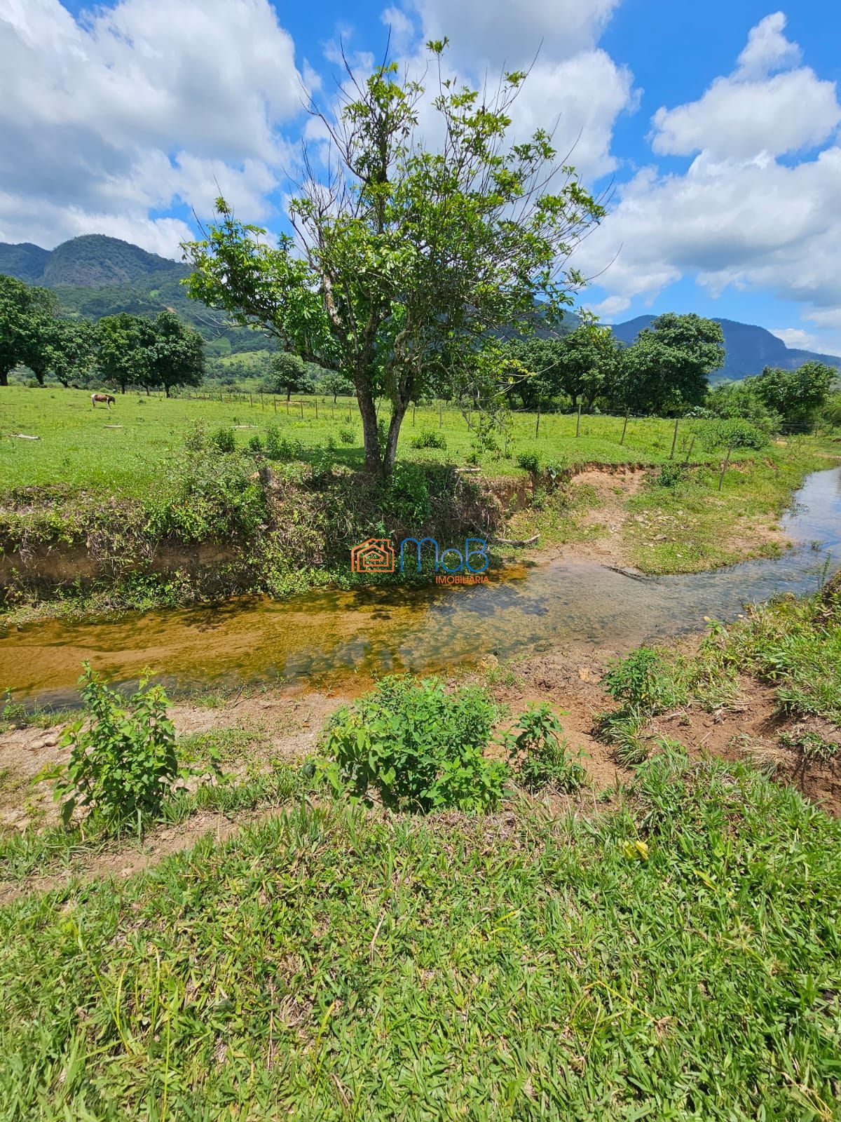 Sítio, 4 quartos, 5000 m² - Foto 10