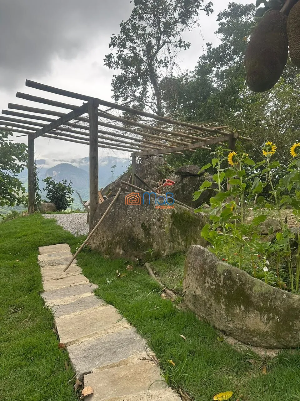 Sítio, 1 quarto, 2560 m² - Foto 12