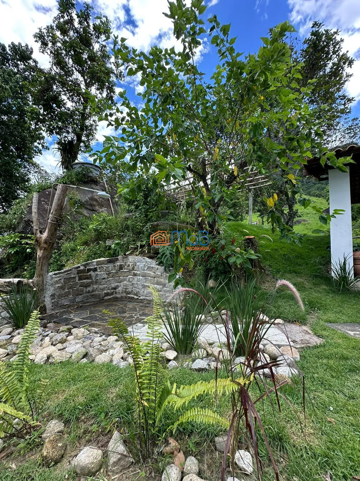 Sítio, 1 quarto, 2560 m² - Foto 14