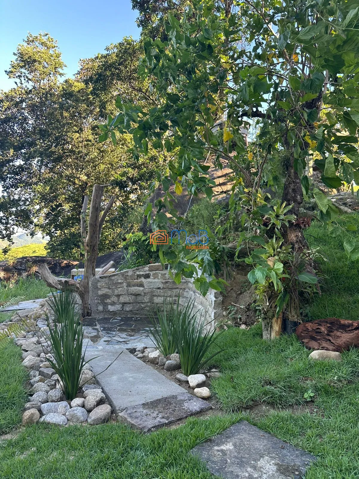 Sítio, 1 quarto, 2560 m² - Foto 13