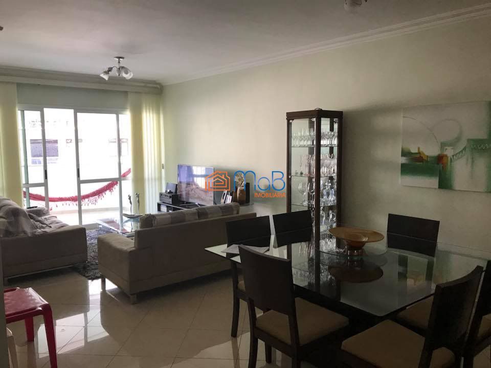 Apartamento à venda com 3 quartos, 116m² - Foto 18