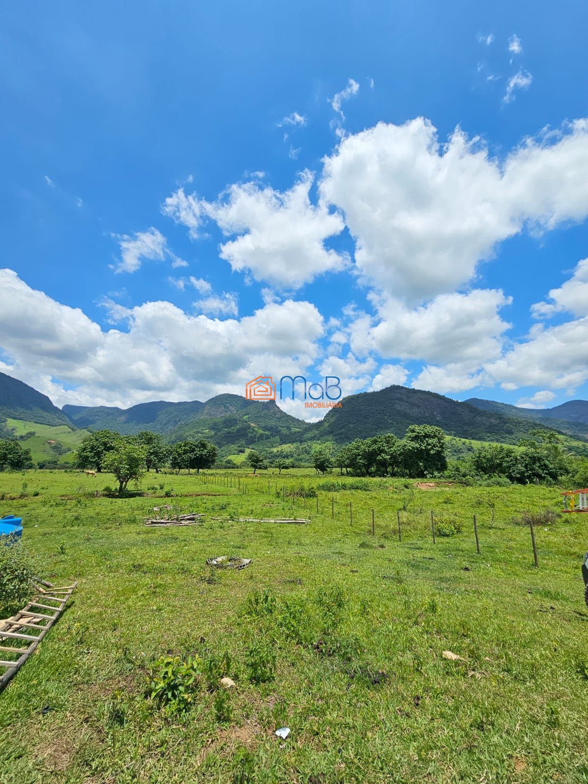 Sítio, 4 quartos, 5000 m² - Foto 2