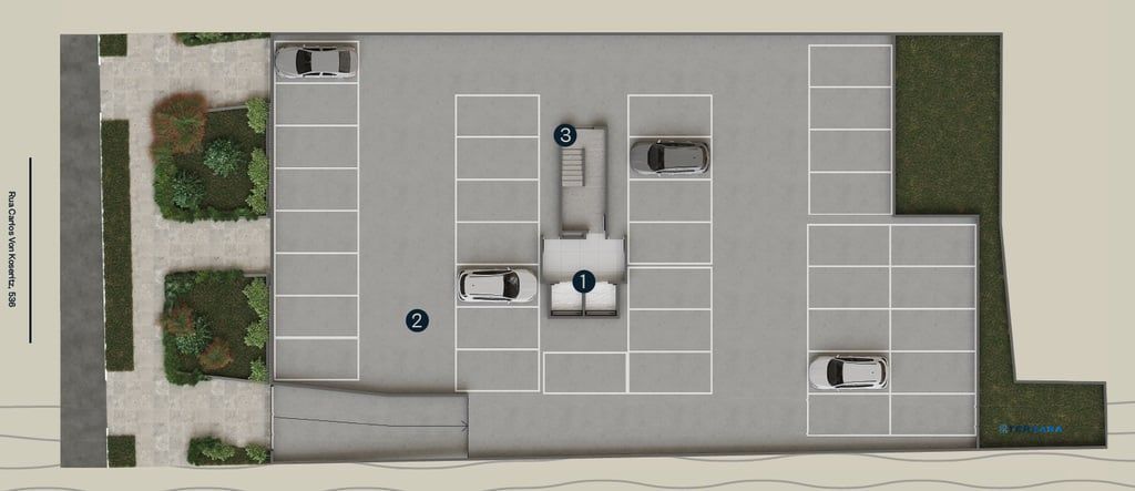 Plantas