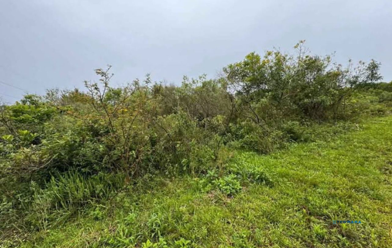 Terreno, 8 quartos, à venda, Cocão - Viamão — foto 2