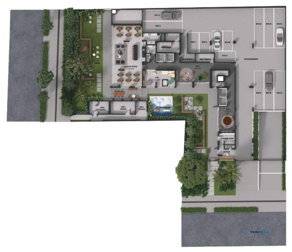 Plantas