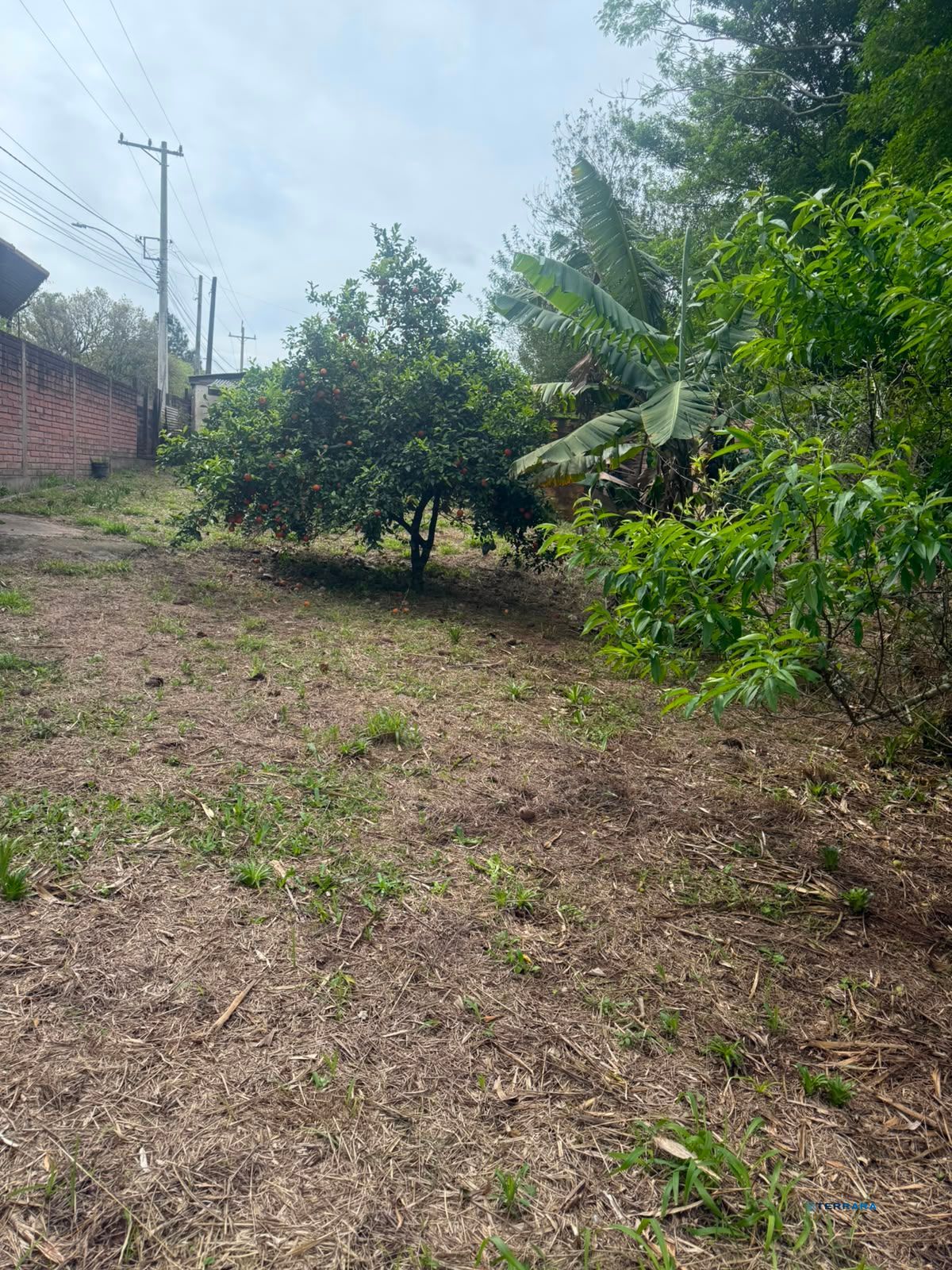 Terreno, à venda, Ipiranga I (ipiranga) - Gravataí — foto 5