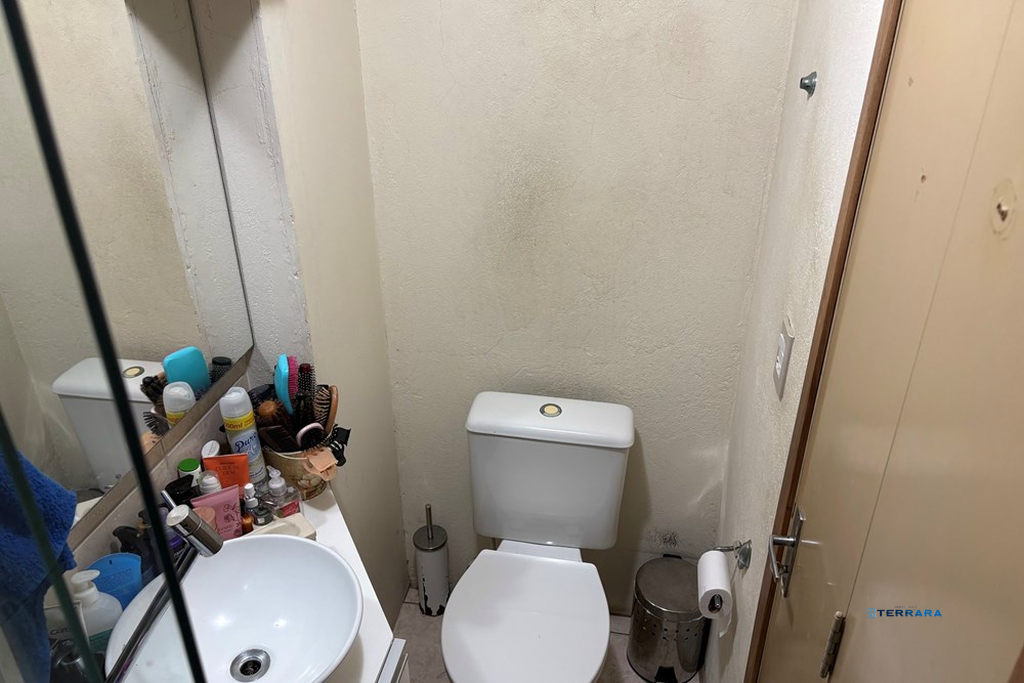 2507771.jpeg