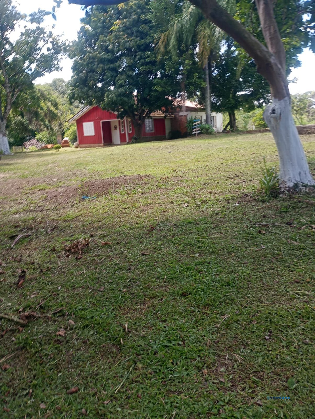 Sítio, 3 quartos, à venda, 300 m², Passo Grande - Glorinha — foto 2