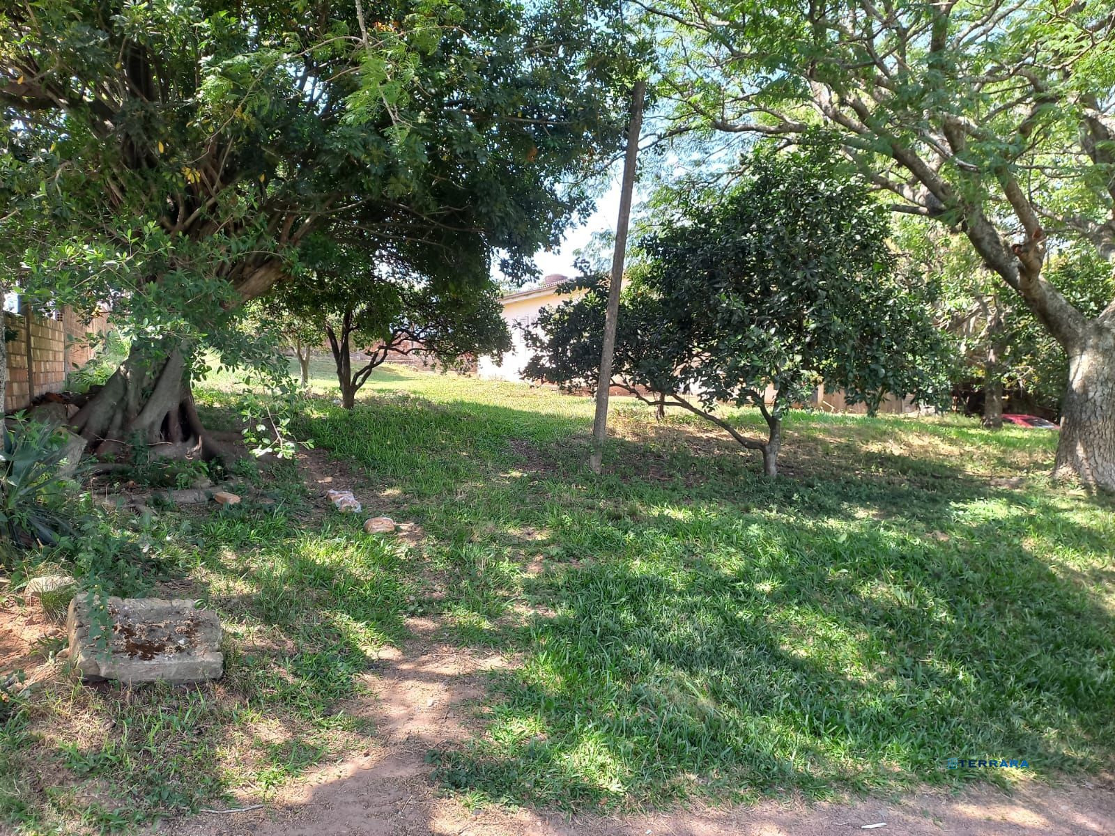 Chácara, 2 quartos, à venda, 2.000 m², Mário Quintana - Porto Alegre — foto 5