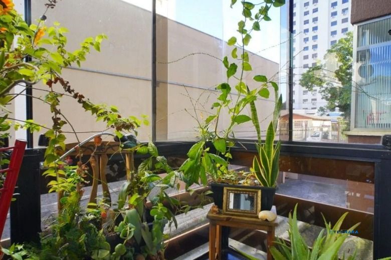 Apartamento, 3 quartos, à venda, 78 m², Passo da Areia - Porto Alegre — foto 3