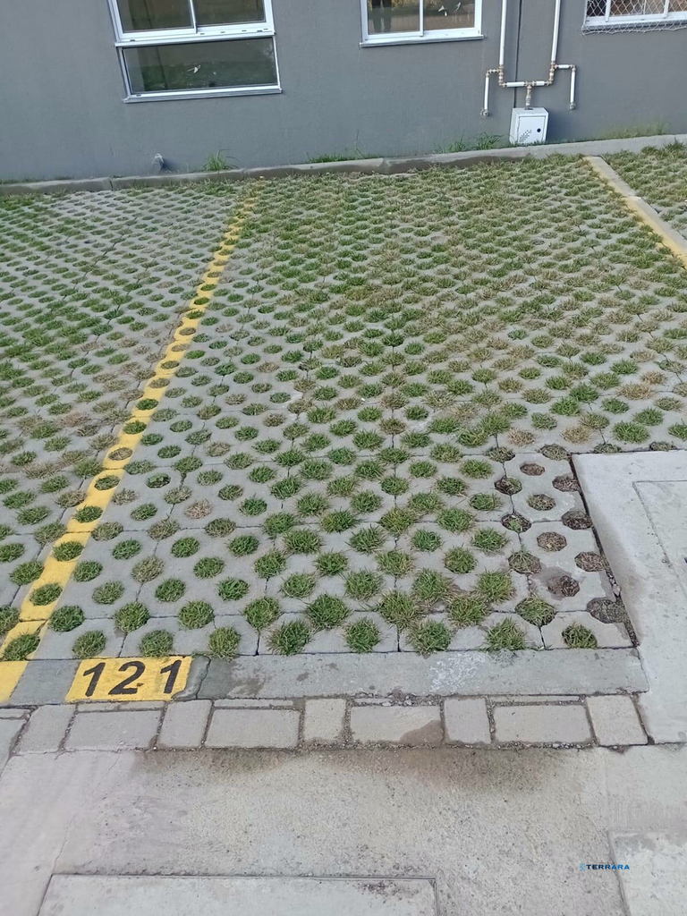 2562689.jpeg
