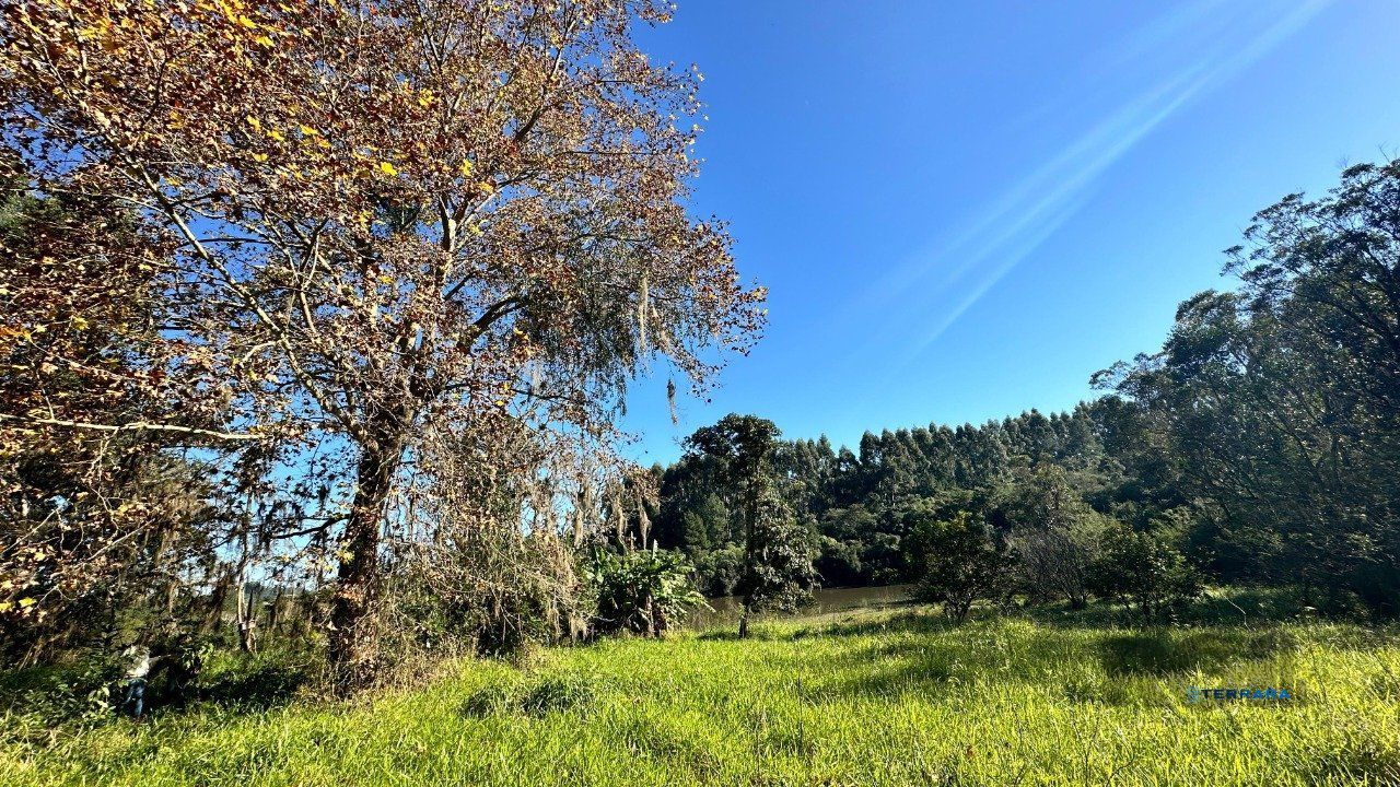 Sítio, à venda, 28.000 m², Passo da Areia - Viamão — foto 4