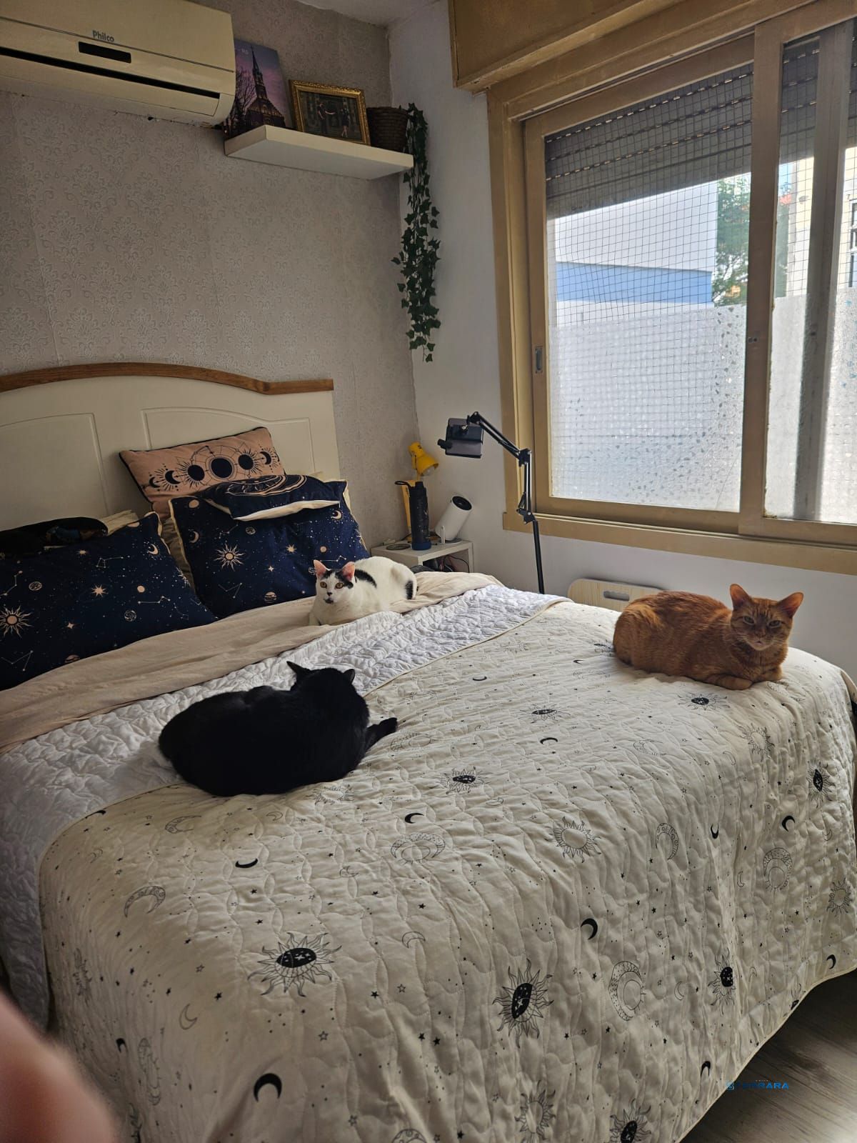 Apartamento, 1 quarto, à venda, 31 m², Santa Cecília - Porto Alegre — foto 2
