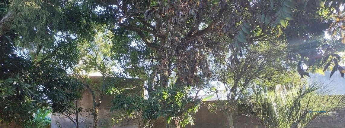 Terreno à venda, Menino Deus - Porto Alegre