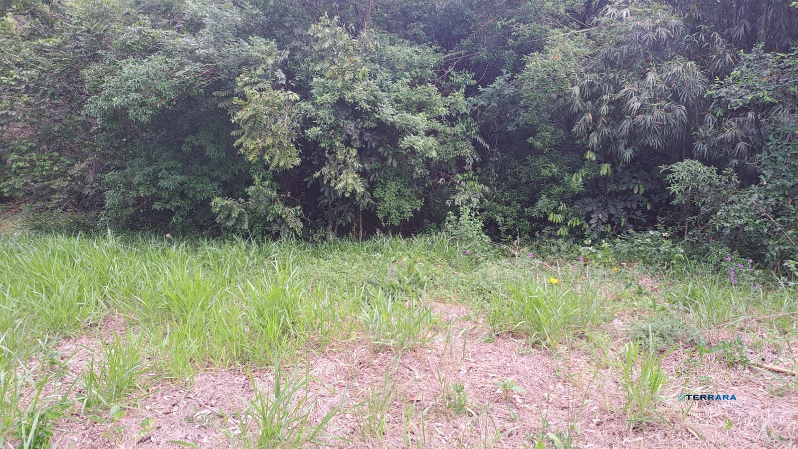 Terreno, à venda, Centro - Canoas — foto 5