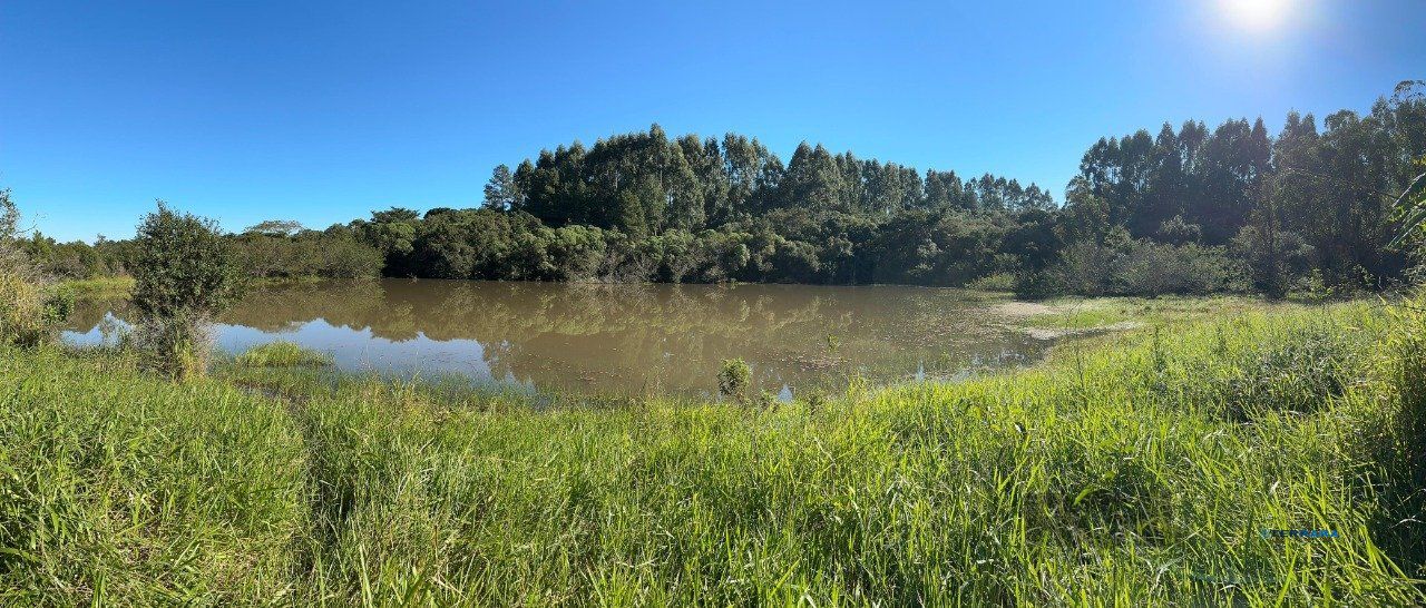 Sítio, à venda, 28.000 m², Passo da Areia - Viamão — foto 5