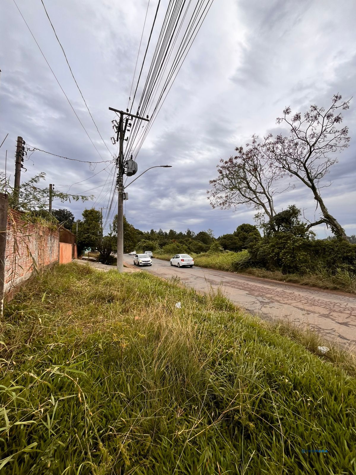 Terreno, à venda, São Tomé - Viamão — foto 3