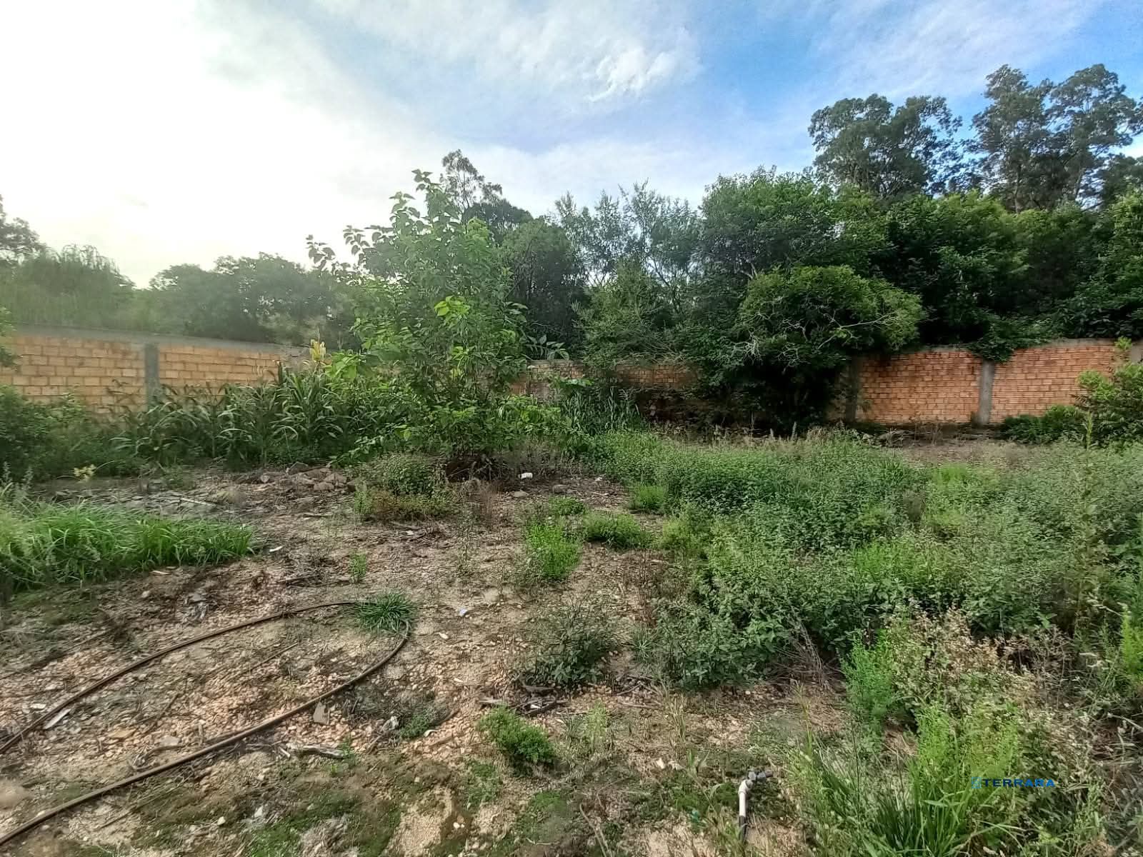Terreno, à venda, Restinga - Porto Alegre — foto 3