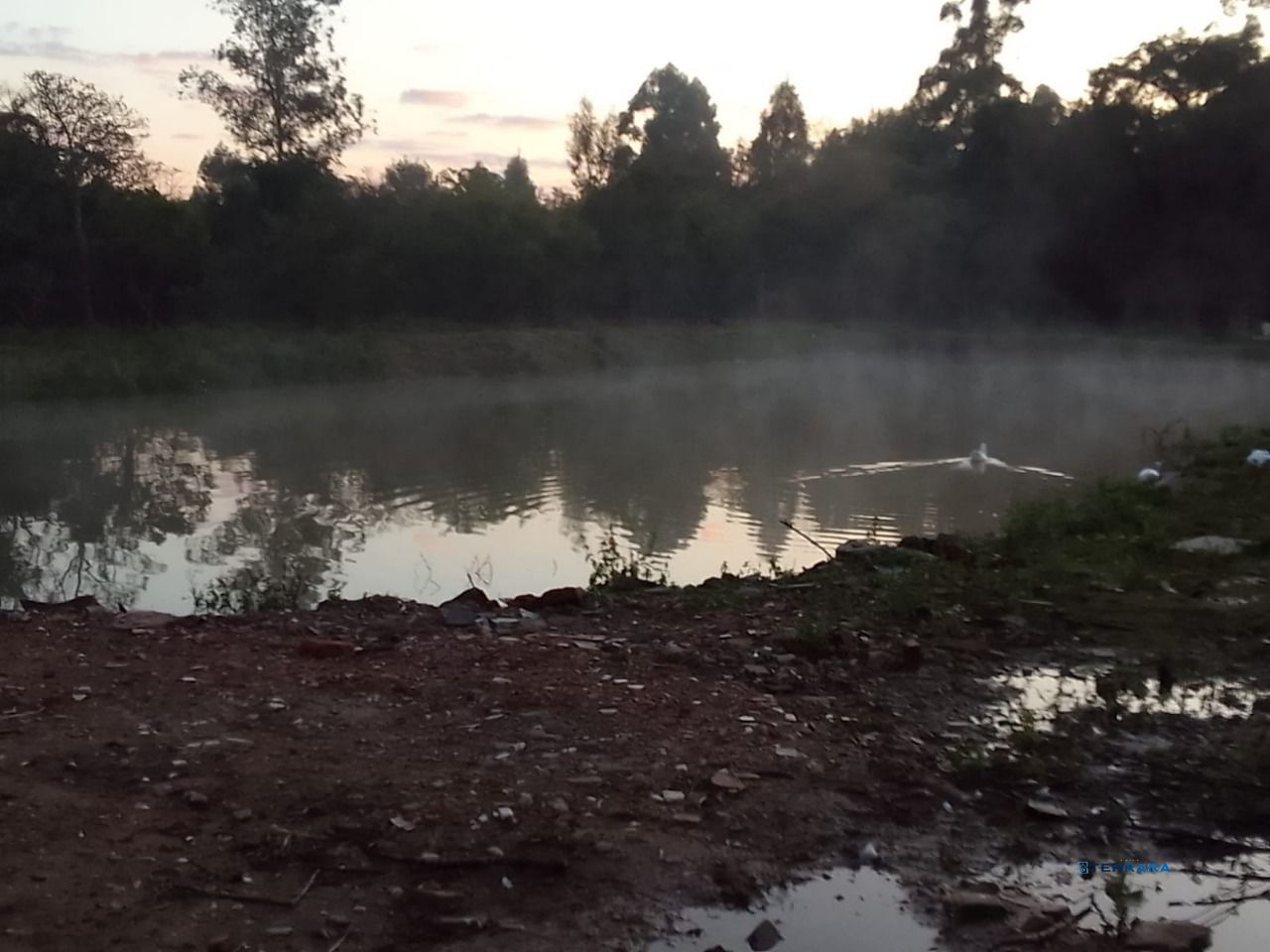 Sítio, 5 quartos, à venda, 1.500 m², Belém Velho - Porto Alegre — foto 3