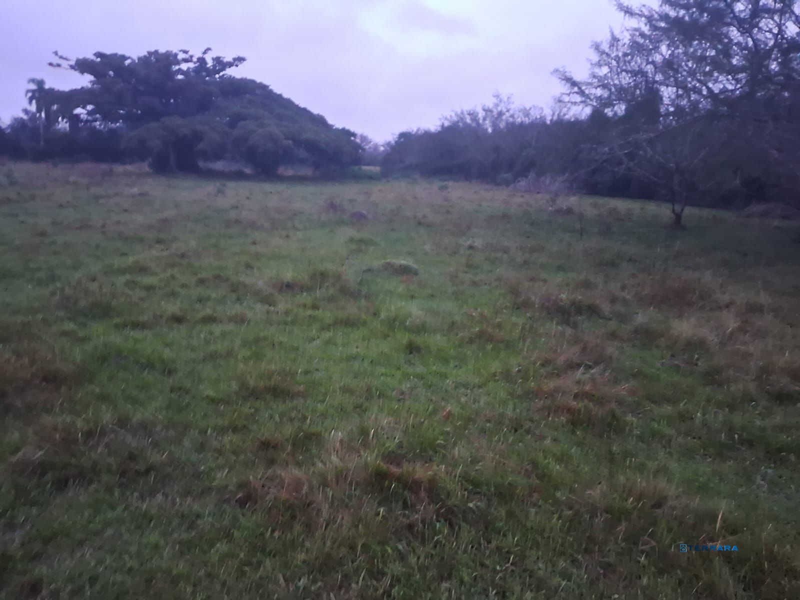 Área Rural, à venda, 70.000 m², Extrema - Porto Alegre — foto 3