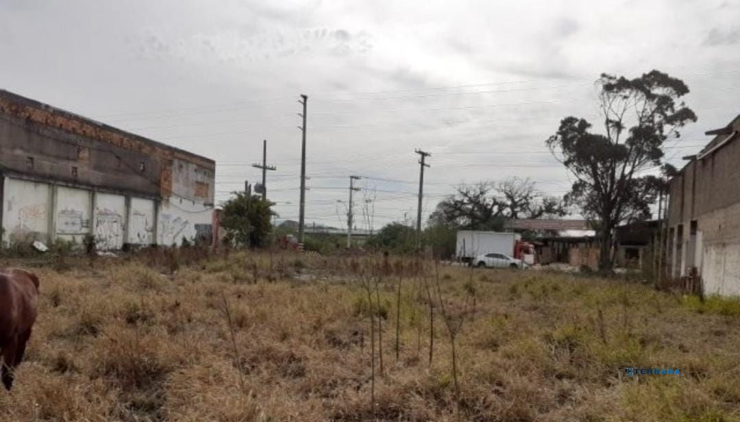 Terreno, à venda, Restinga - Porto Alegre — foto 3