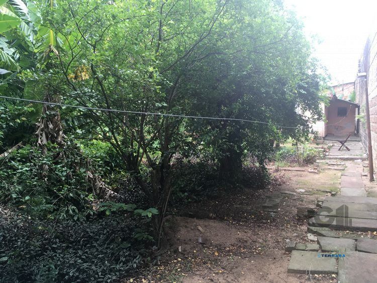 Terreno, à venda, Santa Tereza - Porto Alegre — foto 5