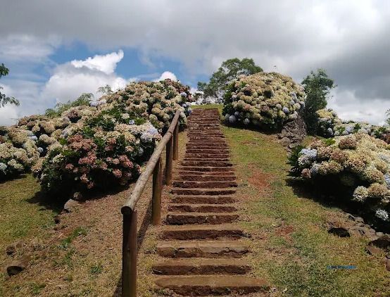 Terreno, à venda, Vale dos Pinheiros - Gramado — foto 3