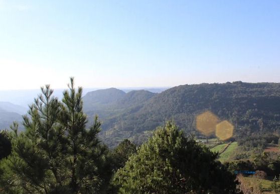 Terreno, à venda, Vale dos Pinheiros - Gramado — foto 2